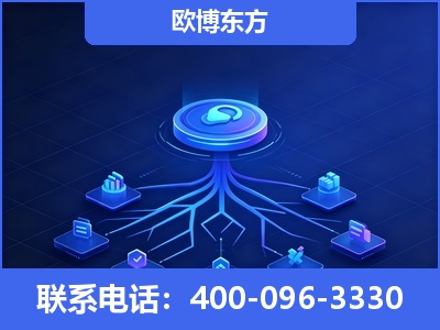 瑞丽-全链豆包优化