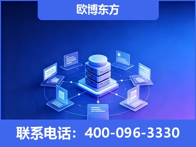 瑞丽-GEO优化