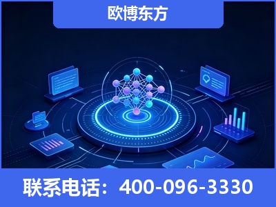 瑞丽-全新deepseek优化